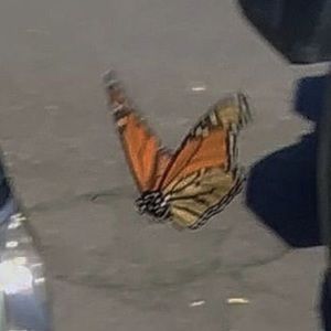 Meet your Posher, Gabi